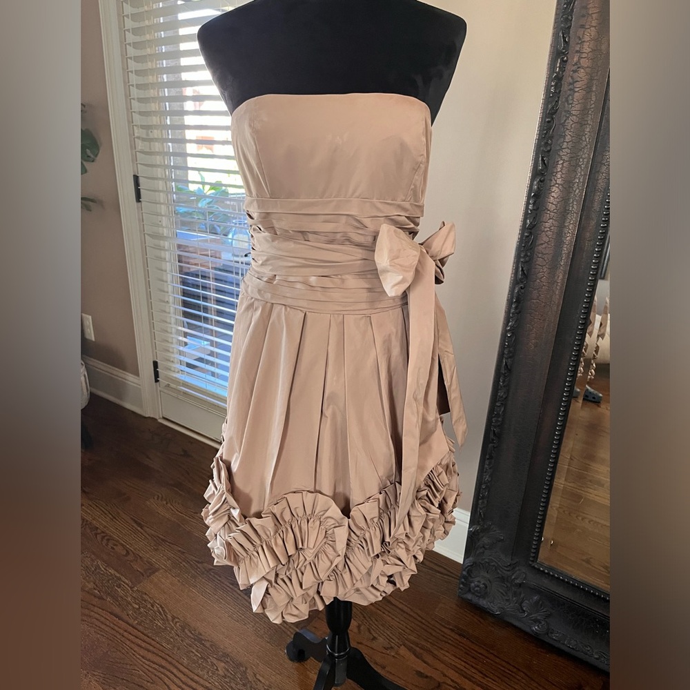 BCBG Party Dress